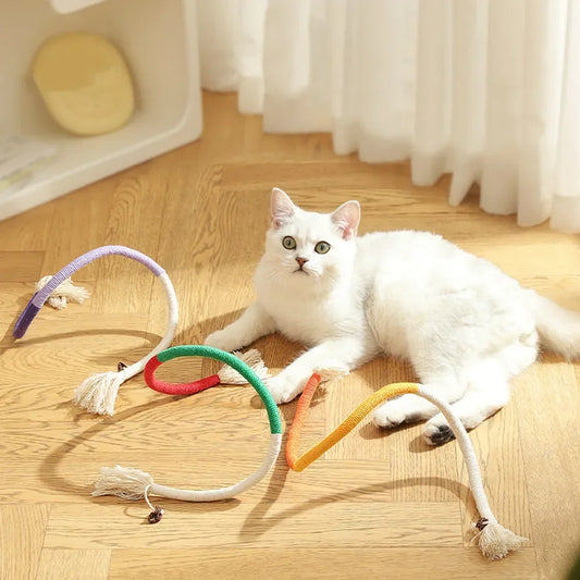 Interactive Molar Cotton Rope