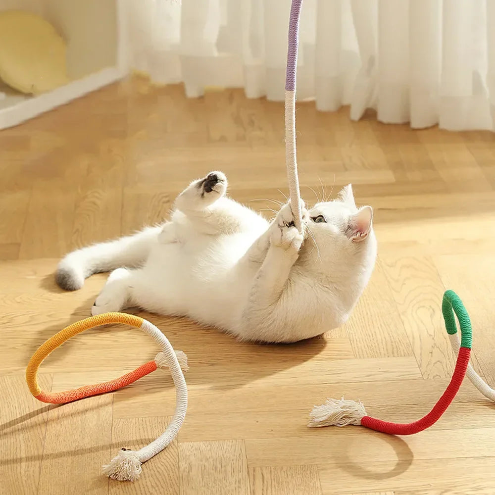 Interactive Molar Cotton Rope