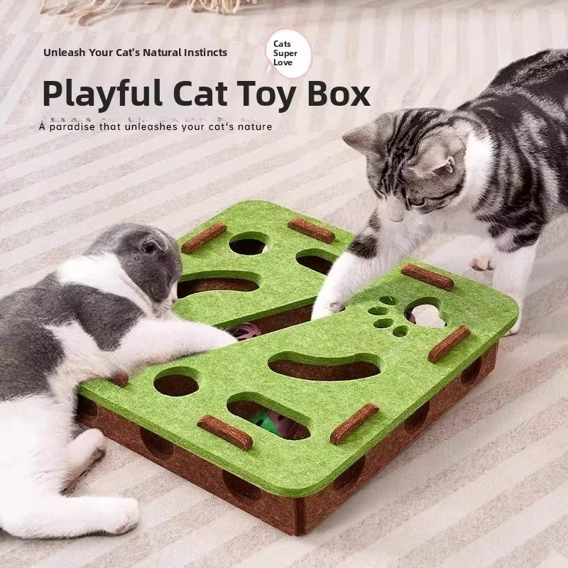 Cat Toy Puzzle Box