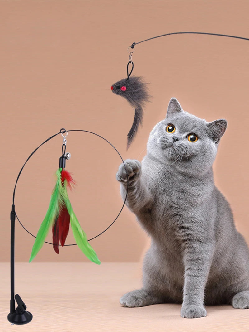 Cat Toy Bird interactive