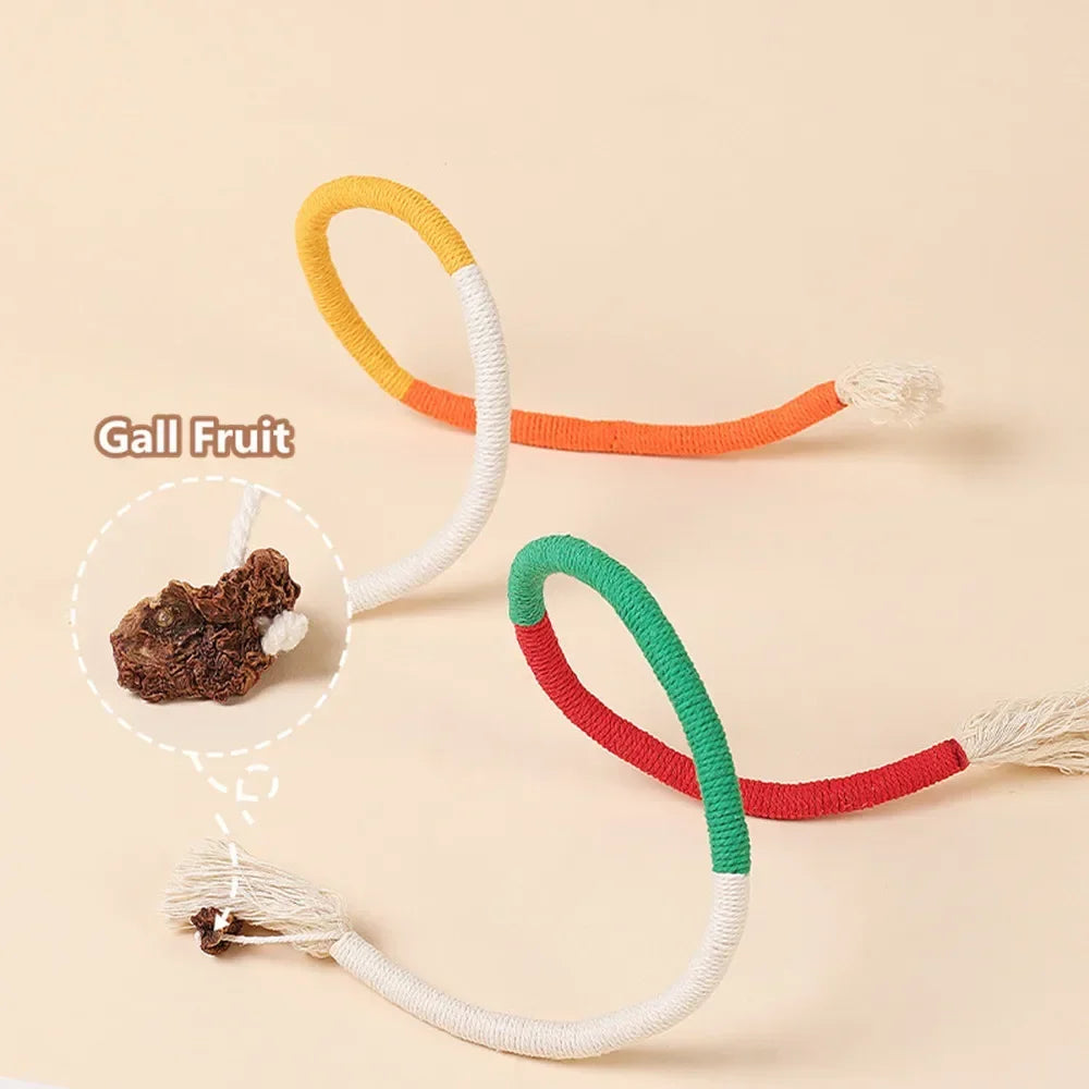 Interactive Molar Cotton Rope