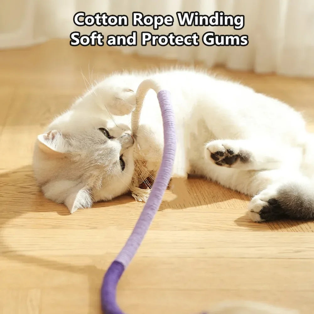 Interactive Molar Cotton Rope